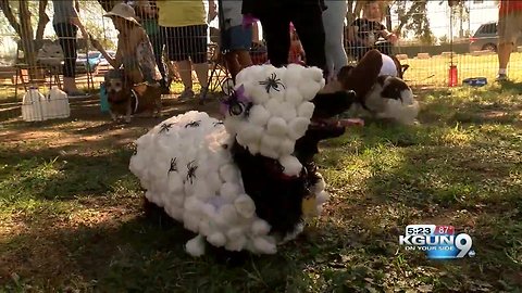 Howl-O-Ween at Reid Park