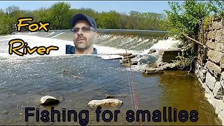 Fox River fishing for smallies. part 1 of 3. 100's of them!