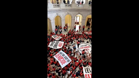 JUST IN: pro-Palestinian protesters storm US Capitol