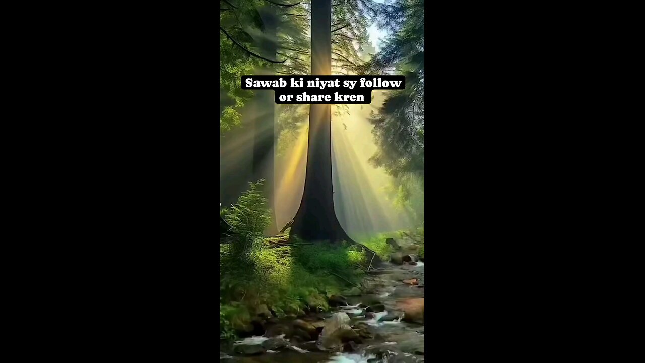 video