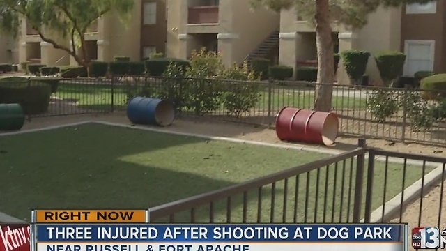 Three people hospitalized after dog park shooting