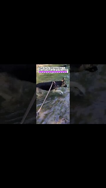 Thank You For 3500 Subs 😀💜