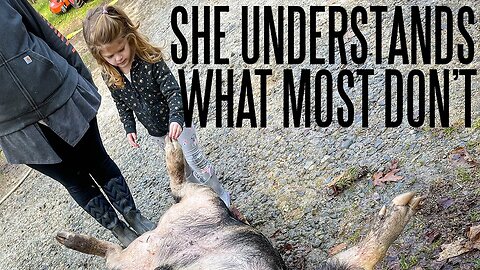 3 Year Old Watches A Pig Slaughter