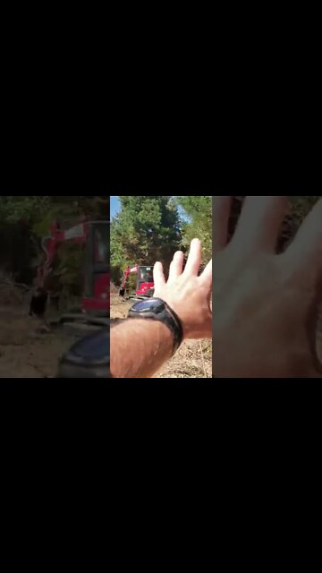 Another new land project! #shorts clearing new road & homesite