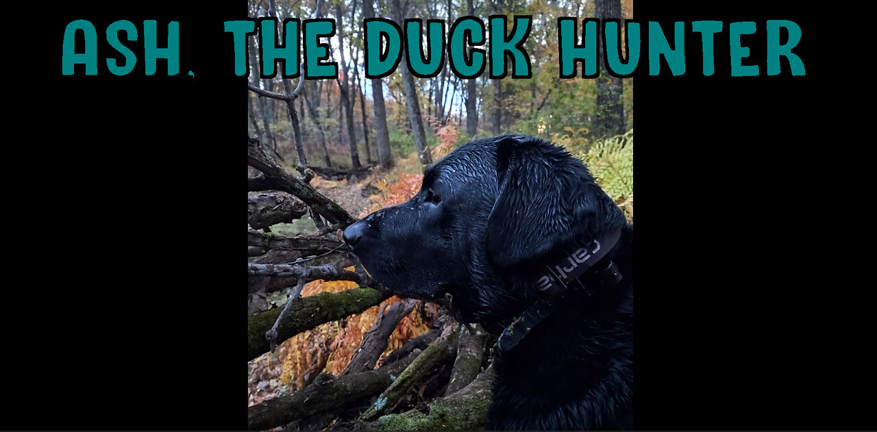 Ash, The Duck Hunter