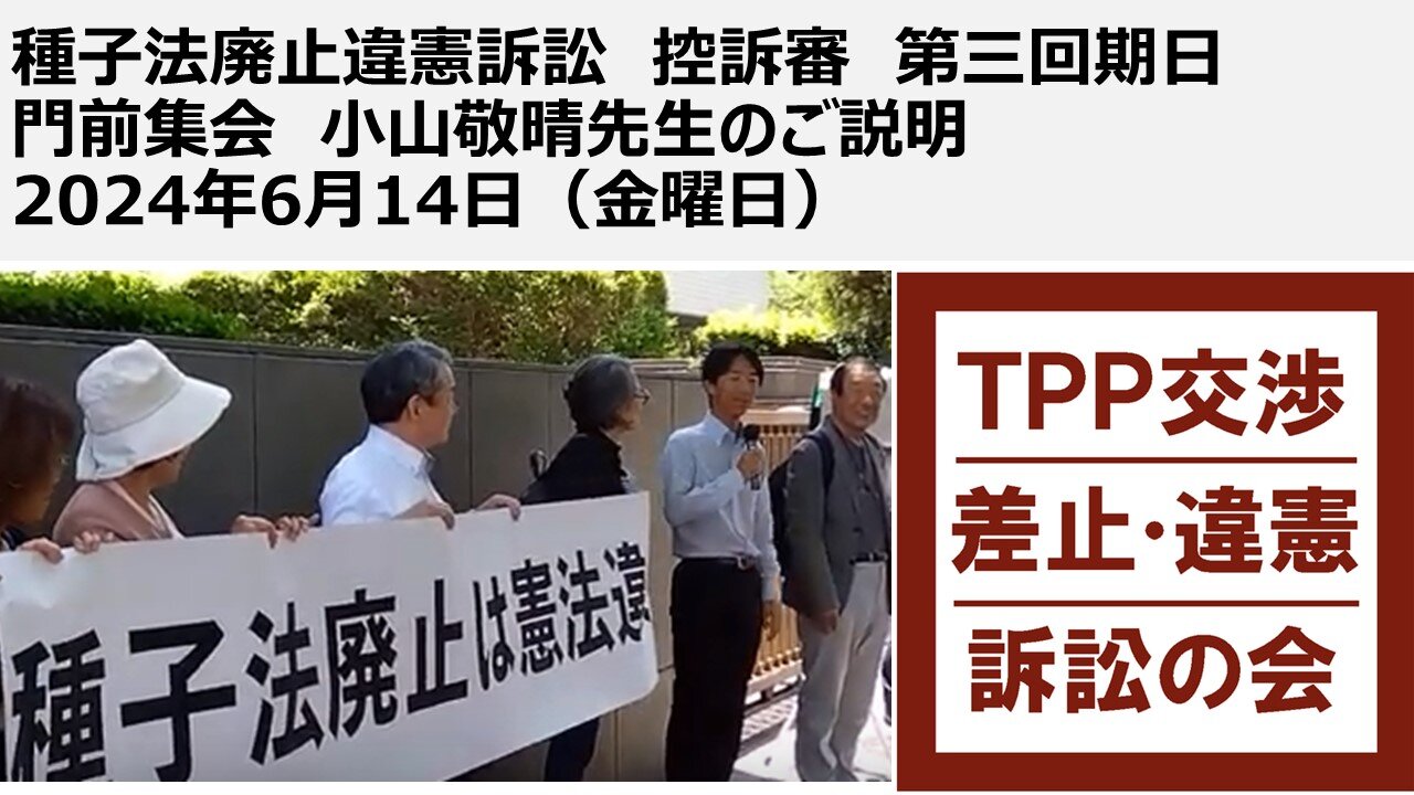 種子法廃止違憲訴訟 控訴審 第三回期日 門前集会 小山敬晴先生のご説明 2024年6月14日(金曜日)