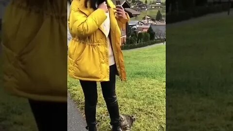 ANIMATION MOTIVATION CARTOON QUOTE