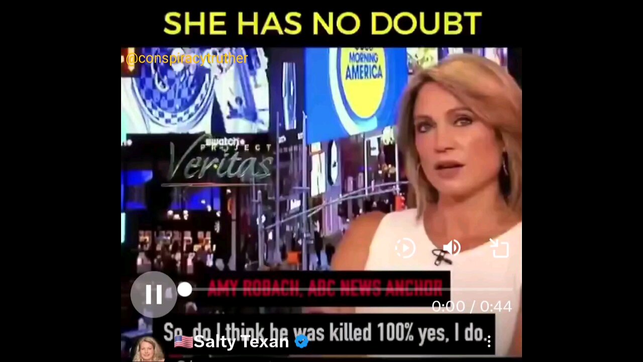 ABC news anchor says Epstein was killed 100%