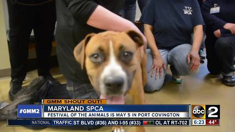 Good morning from Sadie and the Maryland SPCA