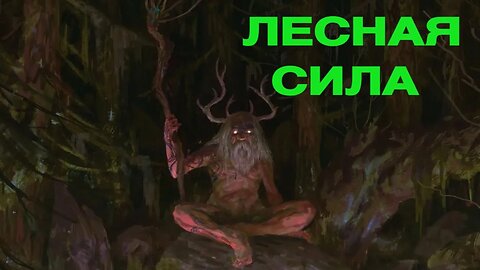 ЛЕСНАЯ СИЛА ДЛЯ ВСЕХ ведьмина изба