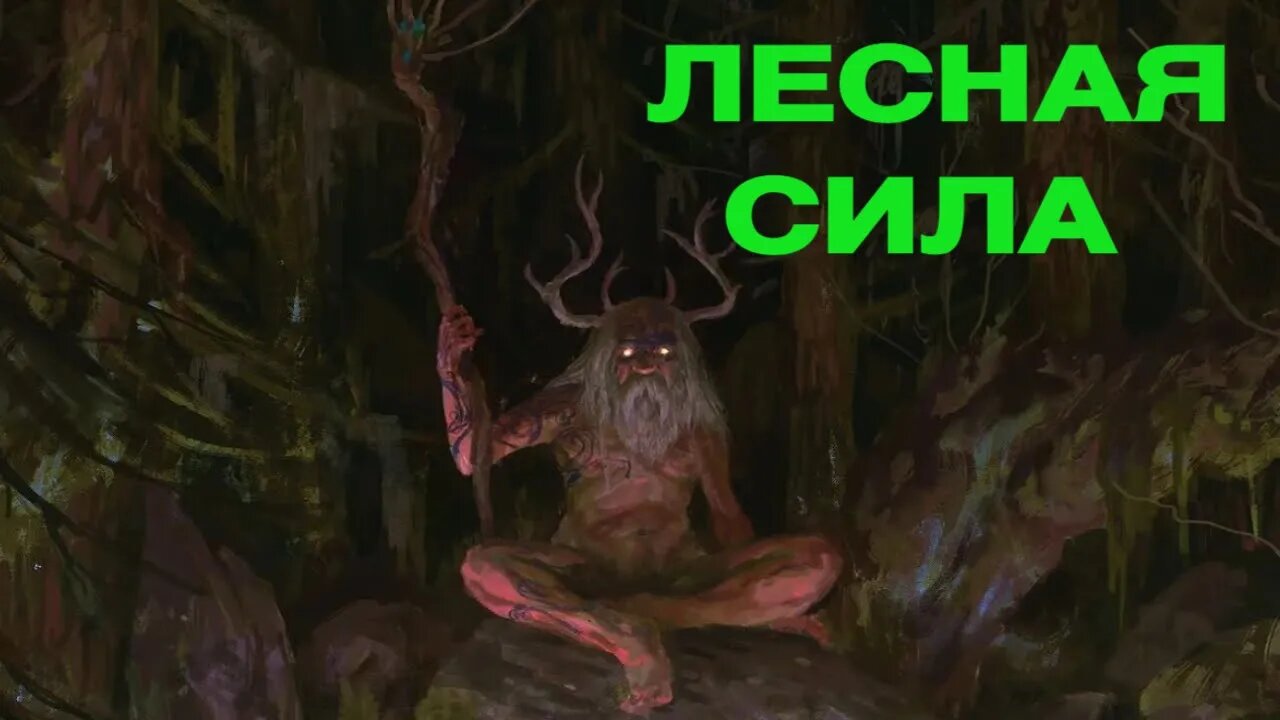 ЛЕСНАЯ СИЛА ДЛЯ ВСЕХ ведьмина изба