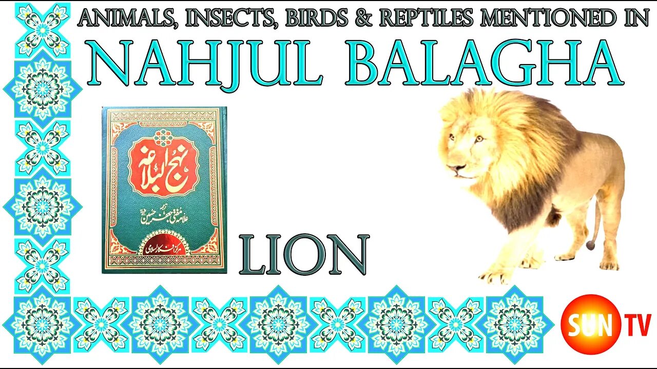 Lion - Animals, Insects, Reptiles & Amphibians mentioned in Nahjul Balagha (Peak of Eloquence)