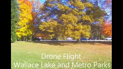 Dennis Churgovich Drone Flight Fall Painting Wallace Lake and Metro Parks