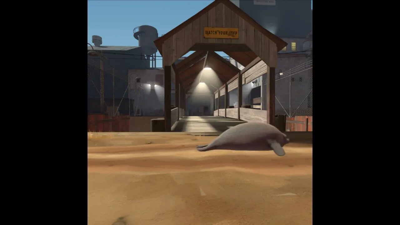 seal flopping warning jumpscare at the end #shorts