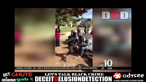 Black male sucker punches random white female at park