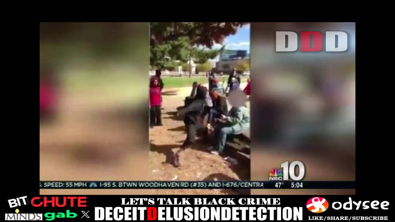Black male sucker punches random white female at park