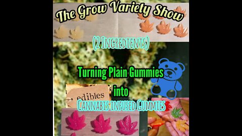 2 Ingredient Cannabis Gummies