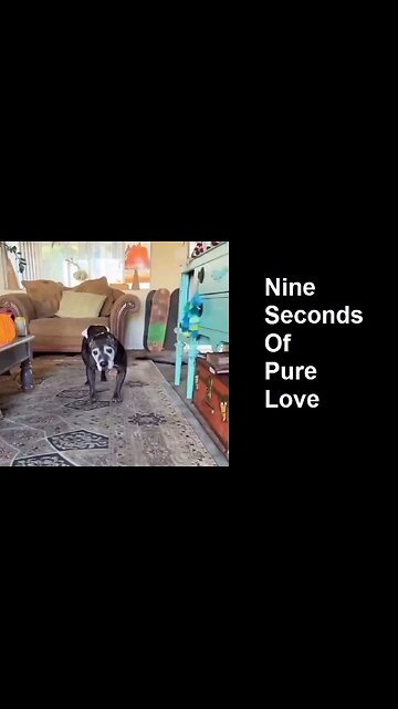 Nine Seconds Of Pure Love