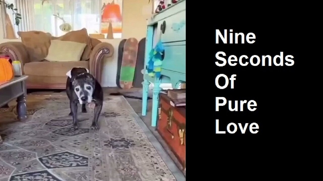 Nine Seconds Of Pure Love