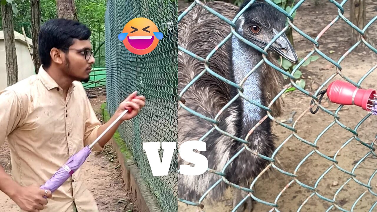 Friend vs Big Bird || Bird Was So Confused || Crazy moment at park