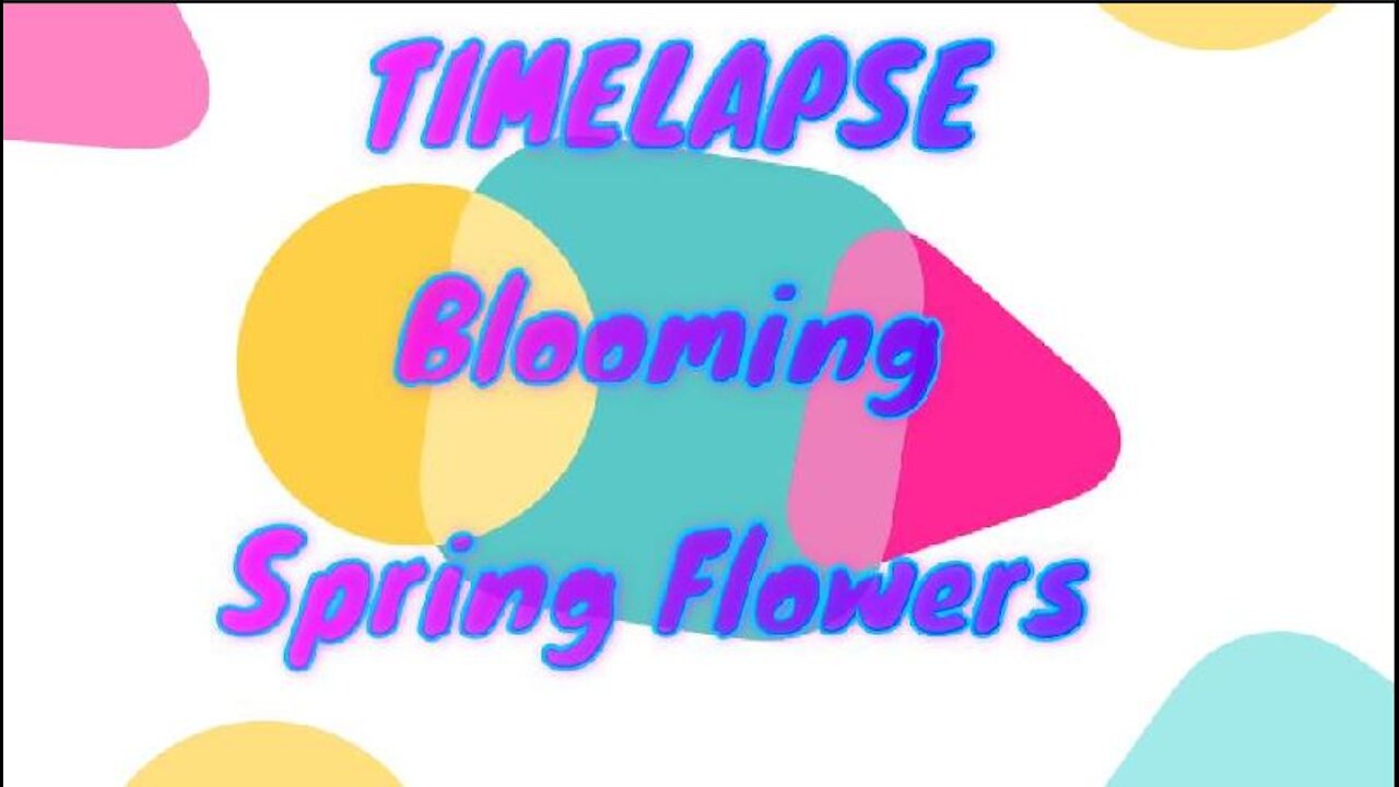 Time lapse Blooming Spring Flowers in 4K