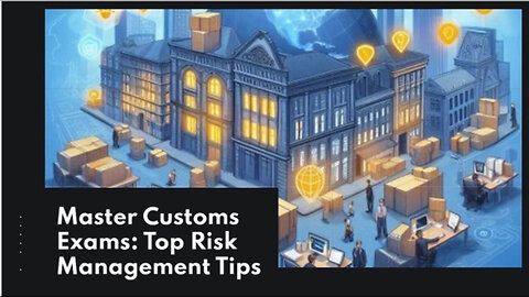 Mastering Risk Management: Strategies for Smooth Customs Examinations