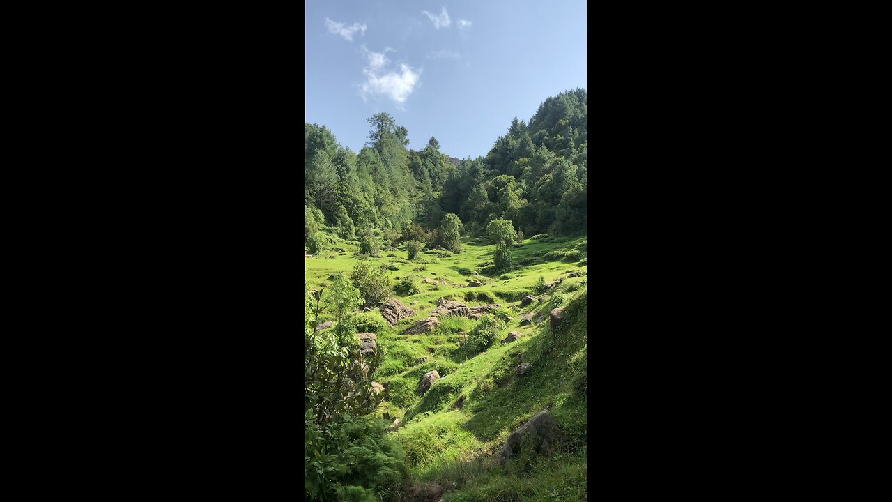 kashmir