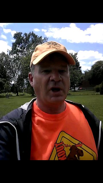 Orange and yellow days