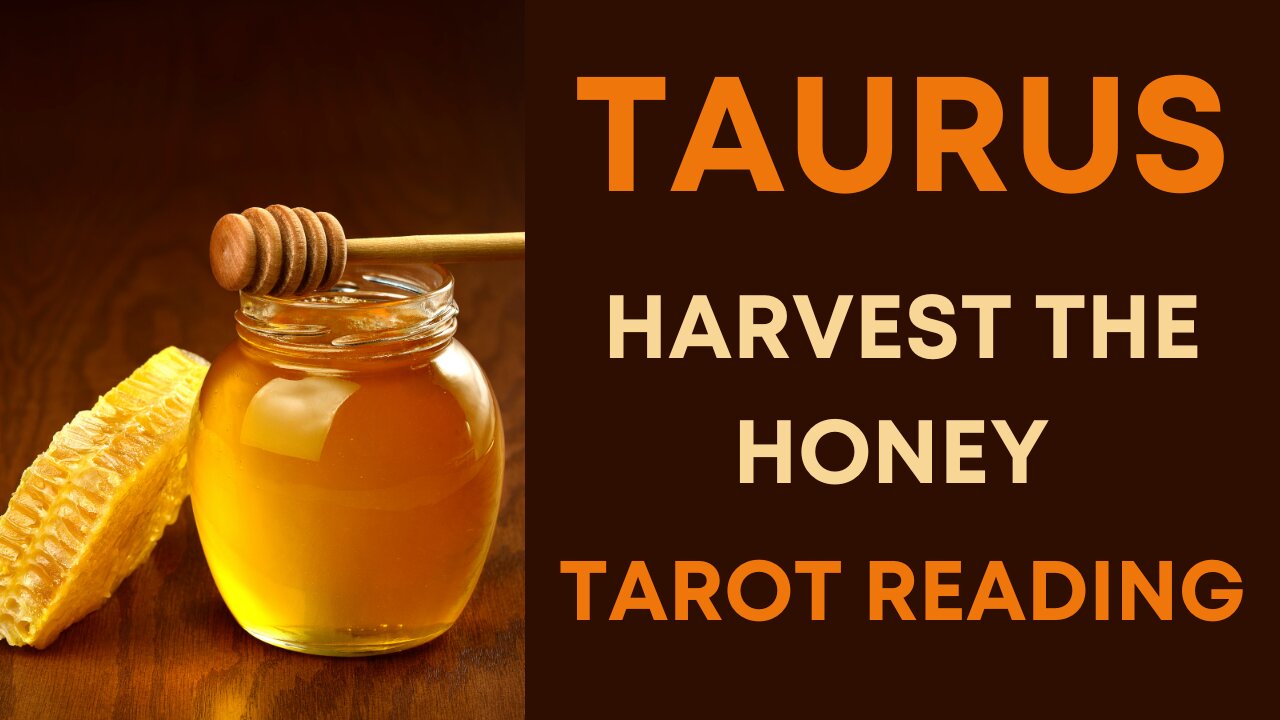 TAURUS ~ HARVEST THE HONEY ~ TAROT READING