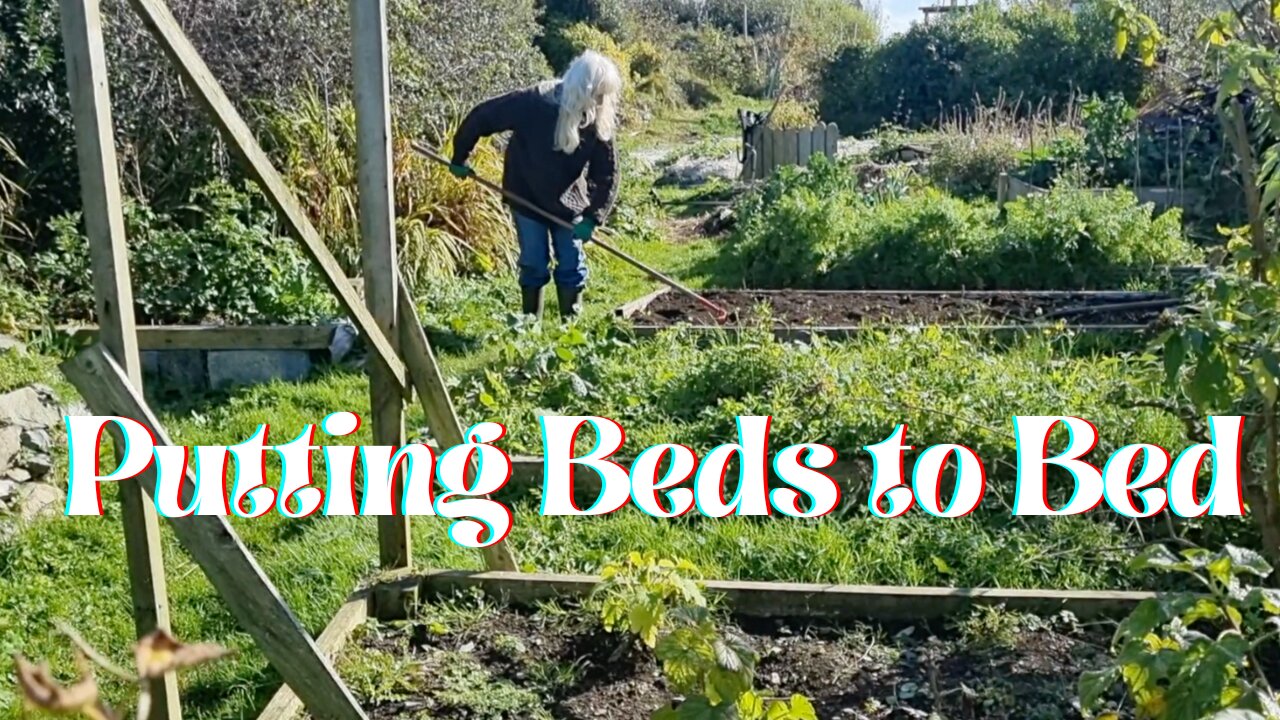 Putting the Beds to Bed