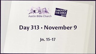 Through the Bible 2022 (Day 313)