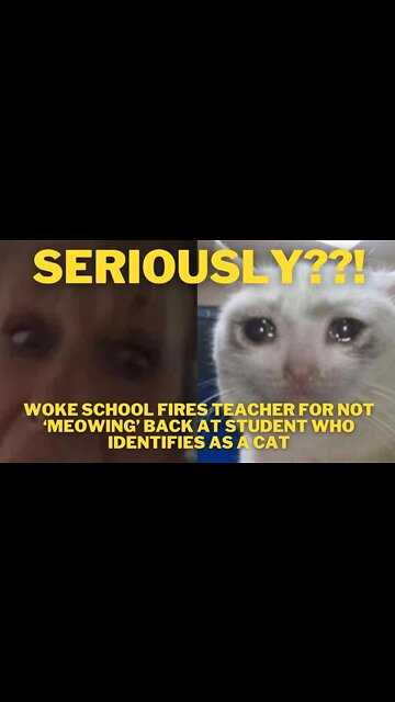 Woke School Fires Teacher for Not ‘Meowing’ Back at Student Who Identifies as a Cat??!