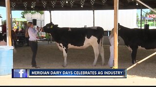 Meridian Dairy Days going strong after 90 years