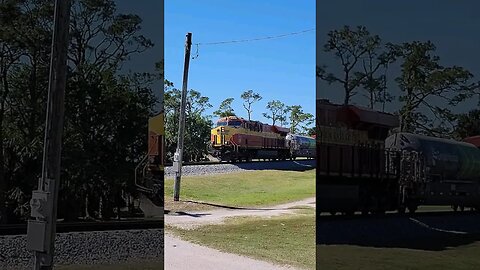 Florida East Coast Railway FEC-105 Daytona Beach Golf Club Mar. 11 2023 #railfanrob #rrmrailvideos