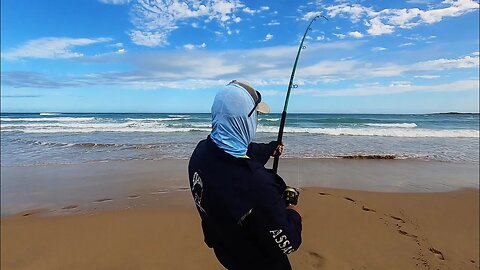 SURF fishing in South Africa. Has the SUMMER FISH ARRIVED?