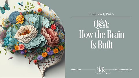 🌟 Intuition 1, Part 5: Q&A 🌟