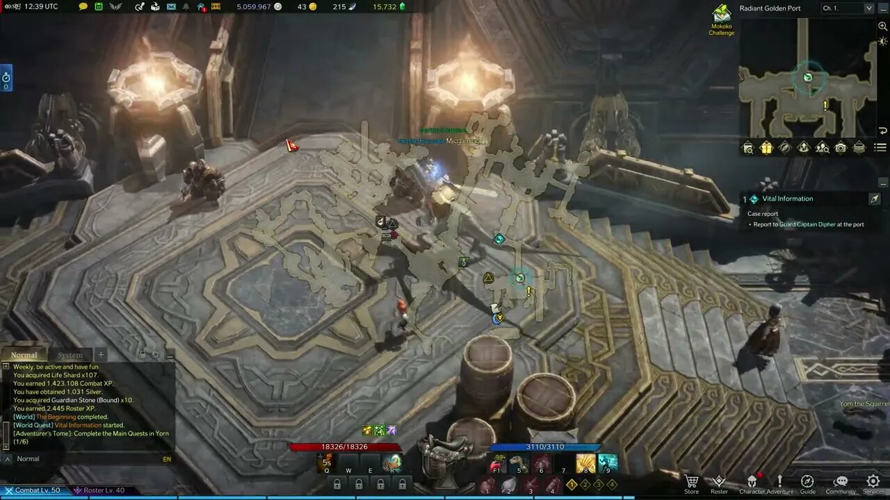 Lost Ark MMORPG Vital Information