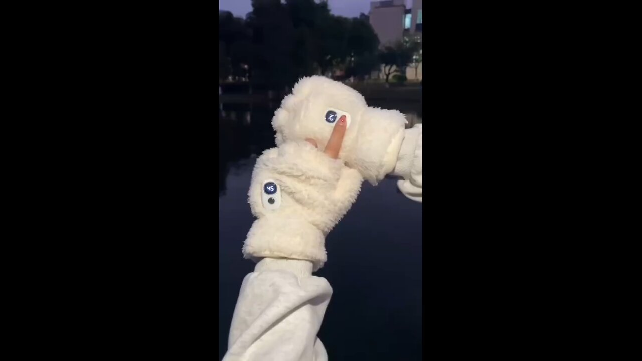 Kalte Hände im Winter? Probier Teddy Thermohandschuhe für sofortige Wärme!