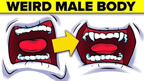 Weirdest Facts About the Male Body