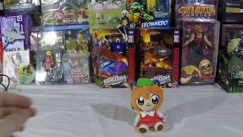 Taito Chen hangar unboxing