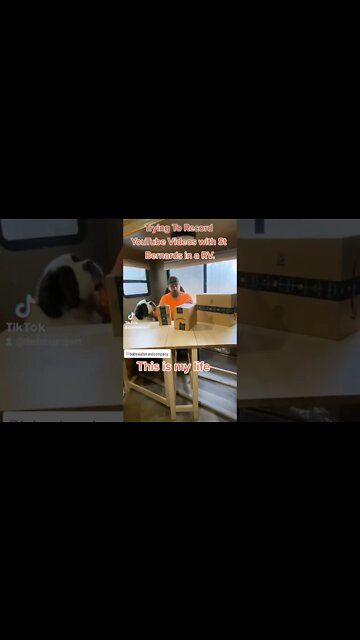 Dogs are so helpful. #dog #dogs #saintbernard #blooper #rvlife