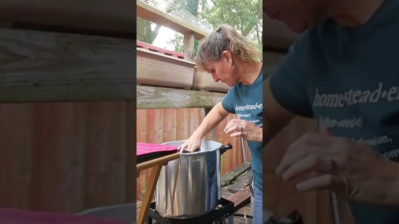 Canned Chicken in the Pressure Canner!