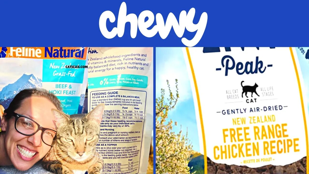 Best cat food brands on Chewy (raw, wet, dry)