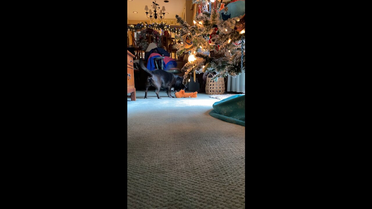 Derby claims his Christmas Present