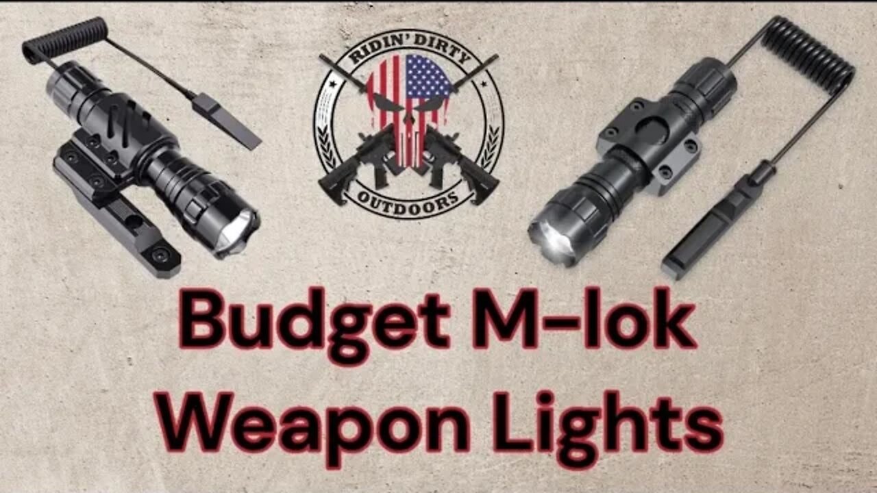 Budget Weapon Lights, are they worth it?