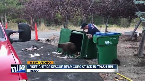 Bear cubs rescued after being trapped in trash bin