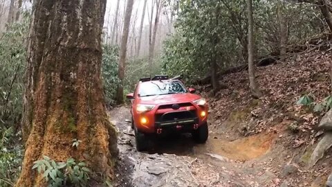 Hurricane Creek Trail, Shelton Laurel, and Bear Wallow Gap with the 4 Runner and NoBo 10