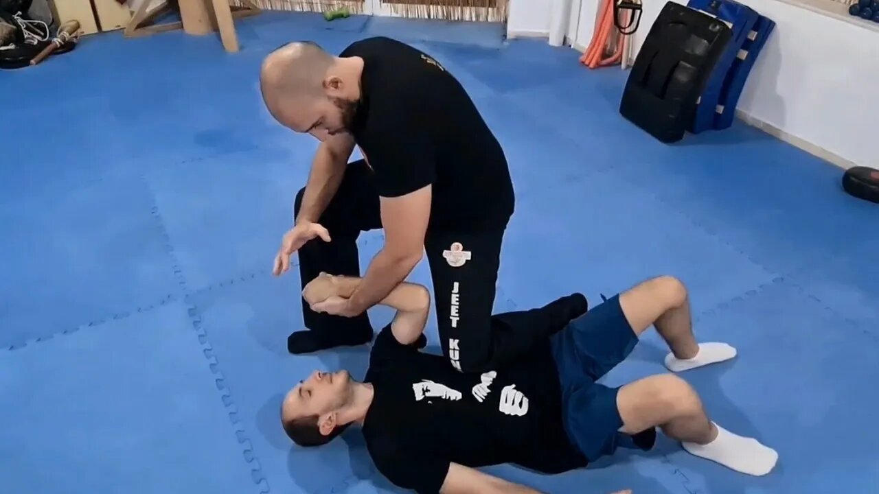 JEET KUNE DO / MDS flowing and grappling techniques