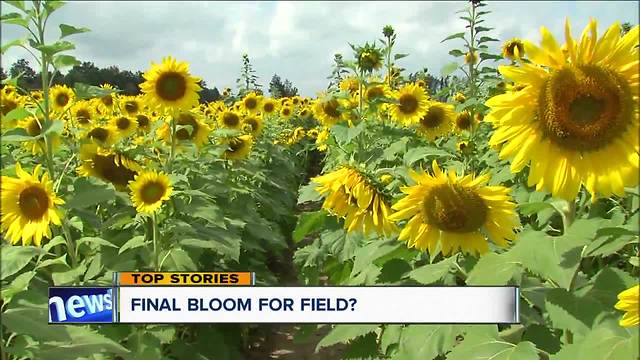 Friday weather and top stories