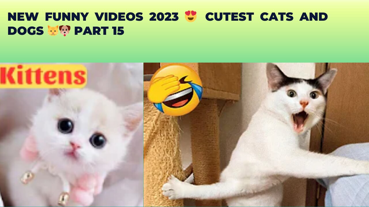 New Funny Videos 2023 😍 Cutest Cats and Dogs 🐱🐶 Part 15